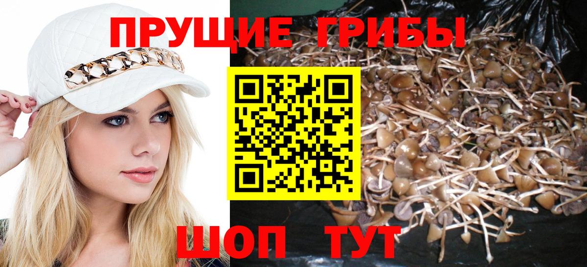 Галлюциногенные грибы GOLDEN TEACHER Таганрог