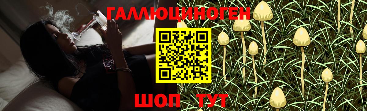 Галлюциногенные грибы Psilocybine cubensis  Вход с VPN  Таганрог 